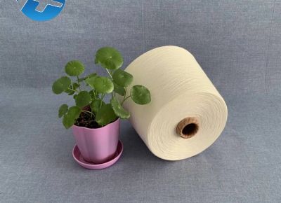 點(diǎn)擊查看詳細(xì)信息<br>標(biāo)題：腈綸紗  膨體腈綸紗 腈綸羊毛紗 腈綸棉混紡紗 閱讀次數(shù)：2845