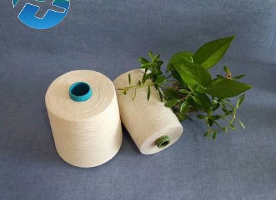 點(diǎn)擊查看詳細(xì)信息<br>標(biāo)題：雪花紗 全棉麻灰雪花紗  AB雪花紗 TCR雪花紗 閱讀次數(shù)：4442