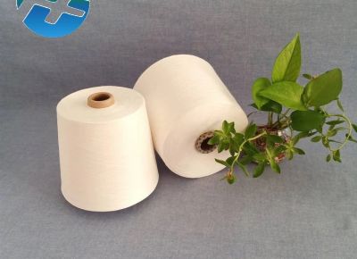 點(diǎn)擊查看詳細(xì)信息<br>標(biāo)題：羊毛粘膠混紡紗 滌粘混紡 天絲粘膠紗 亞麻粘膠紗 閱讀次數(shù)：2879